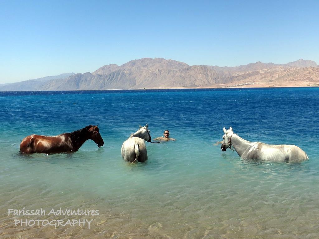 Blue Beach Club Dahab Exterior photo